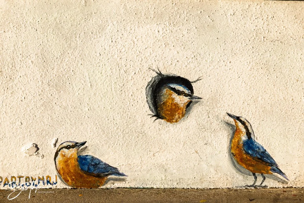 20250414-Historic St Andrews -29.jpg