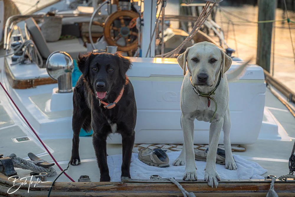 20250424-Historic St Andrews -75.jpg