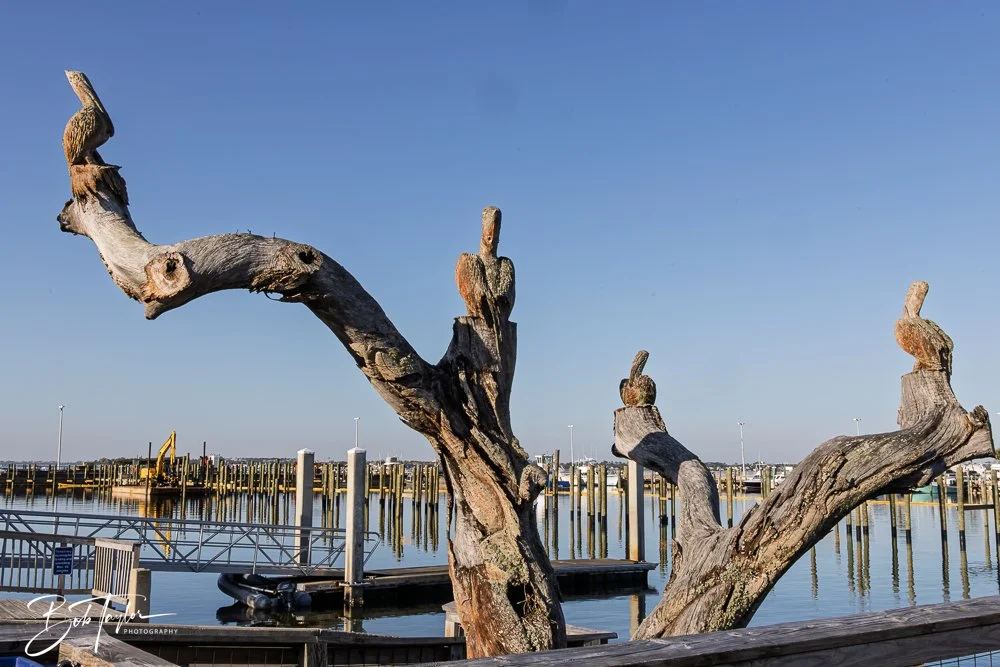 20250414-Historic St Andrews -60.jpg