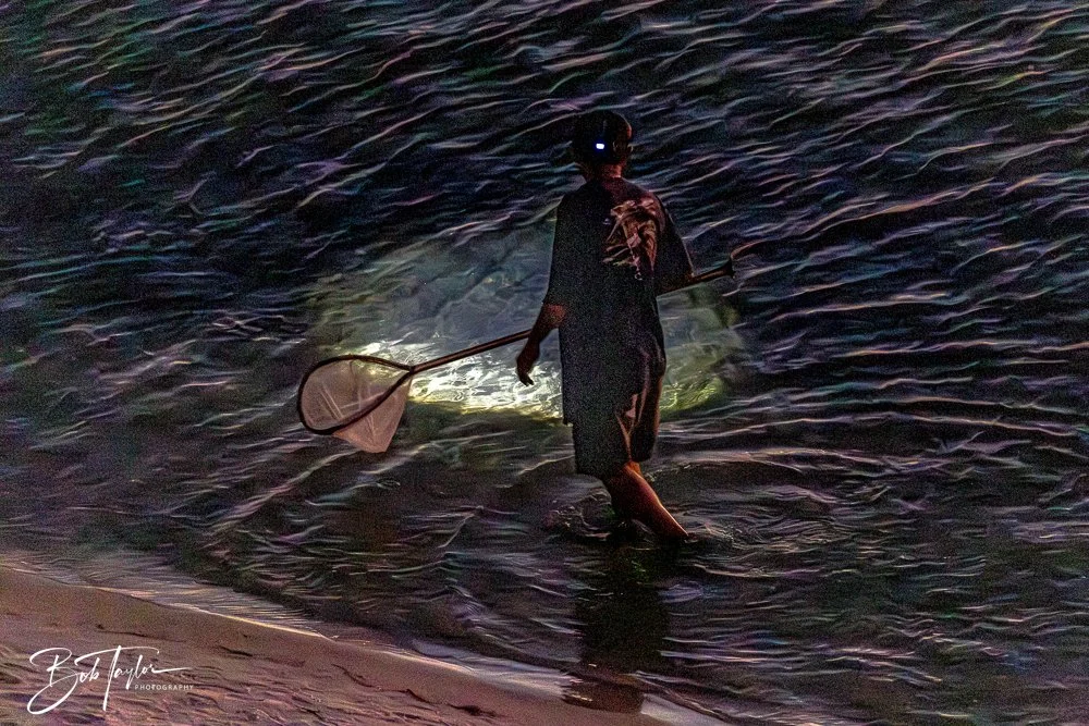 20251104-Night Scenes -5.jpg