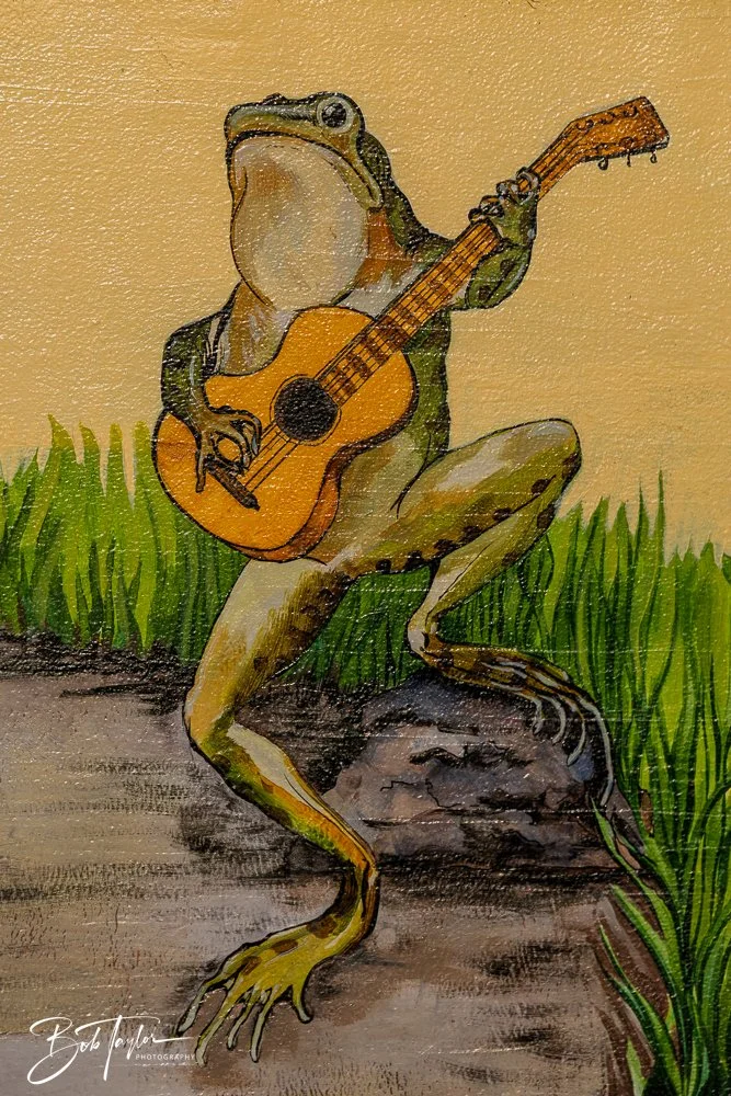 20250414-Historic St Andrews -22.jpg