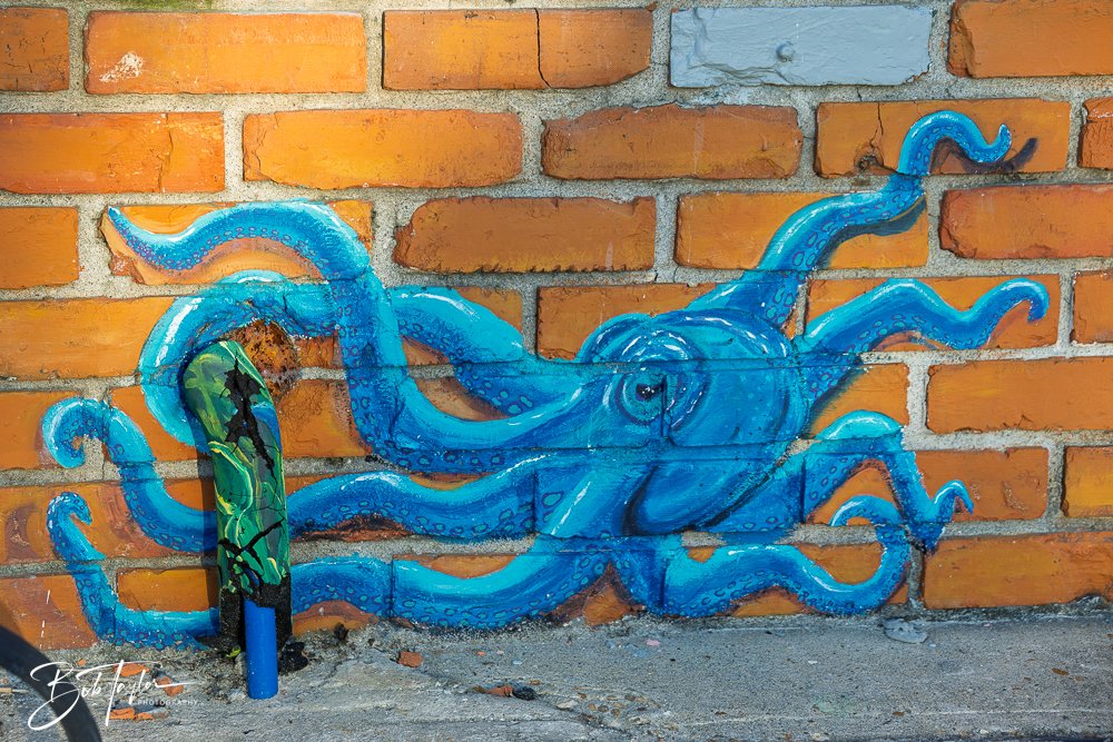 20250414-Historic St Andrews -27.jpg