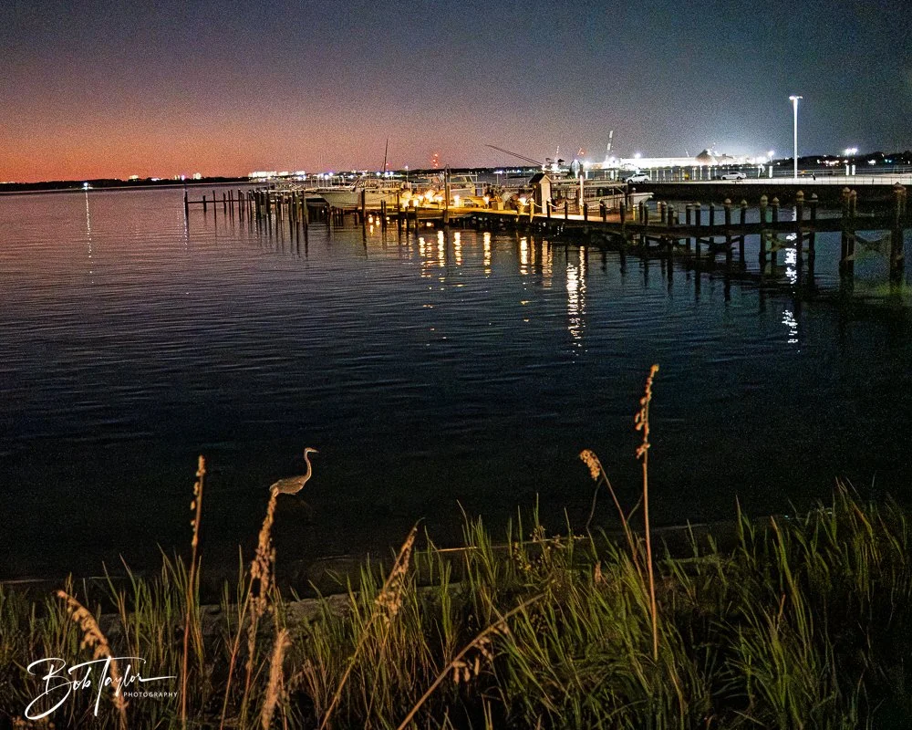 20251104-Night Scenes -8.jpg