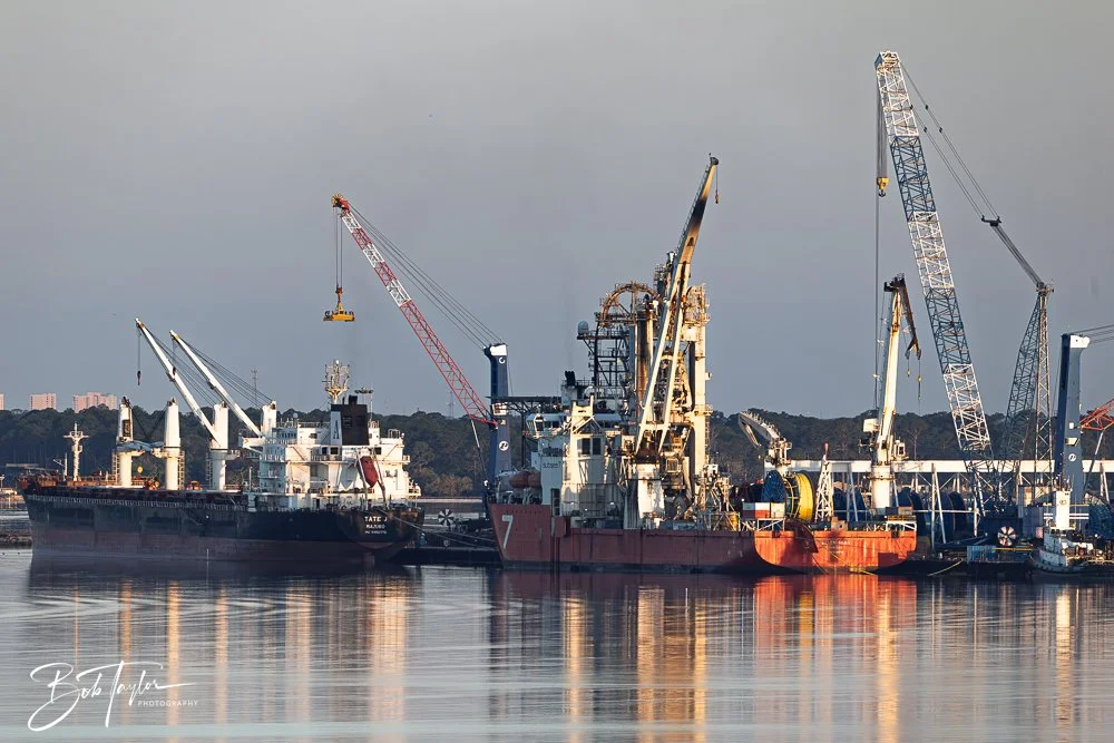 20250414-Historic St Andrews -4.jpg