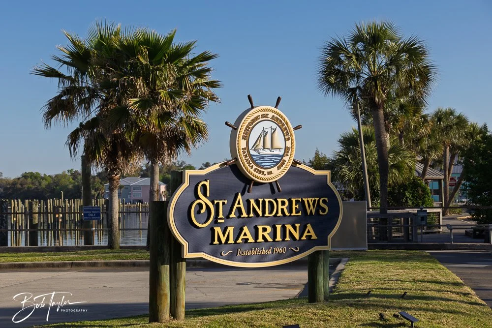 20250414-Historic St Andrews -62.jpg