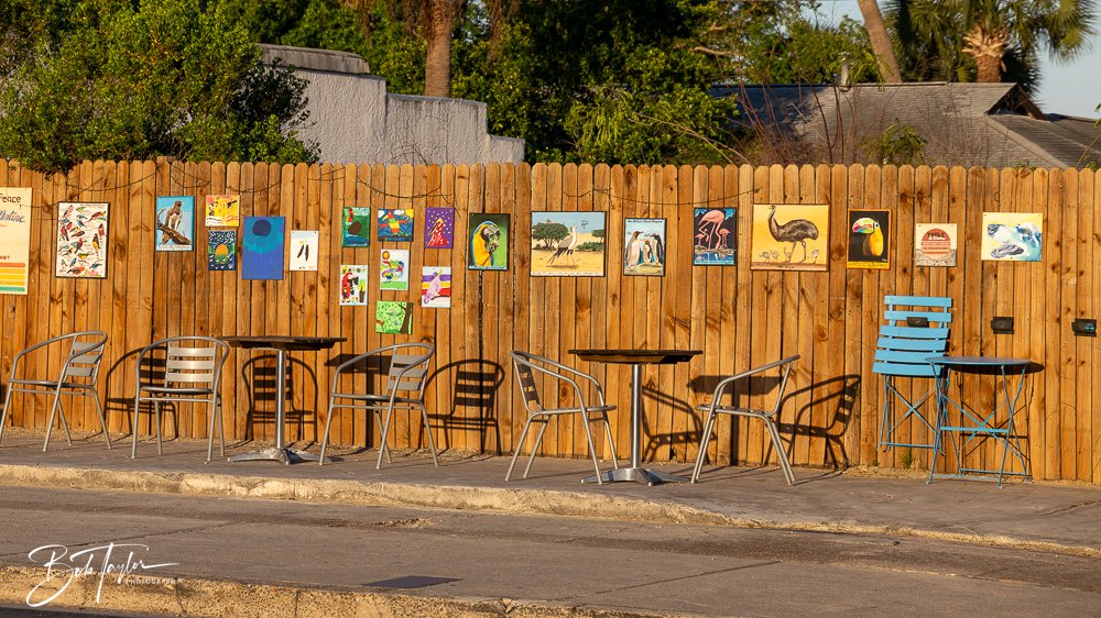 20250414-Historic St Andrews -11.jpg