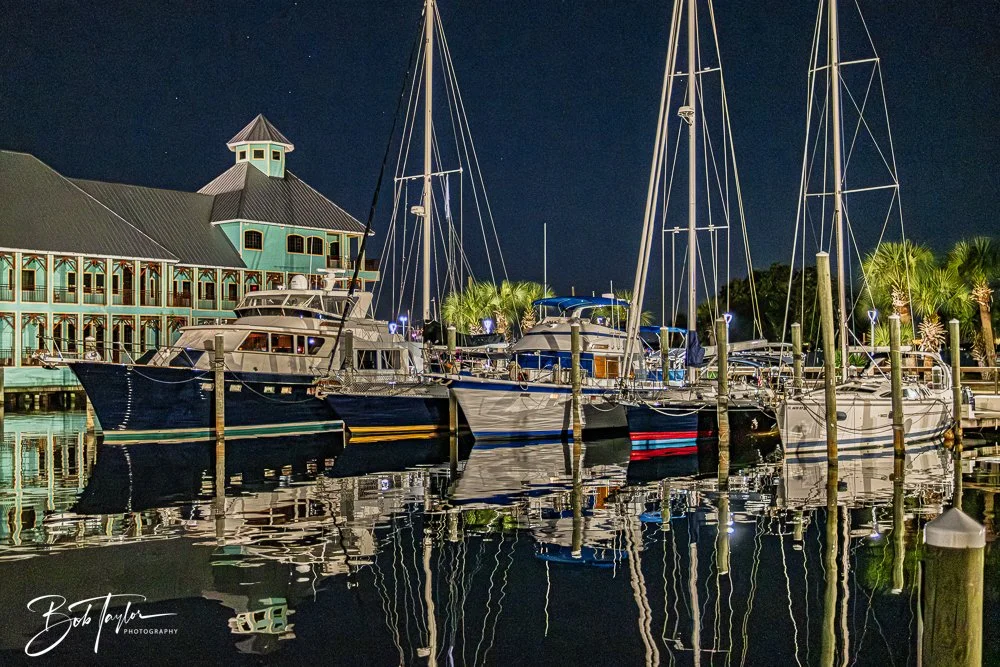 20251104-Night Scenes -23.jpg