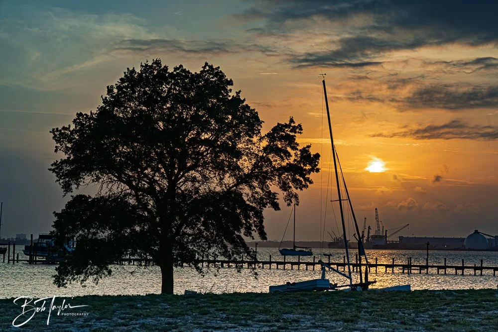 20250424-Historic St Andrews -79.jpg