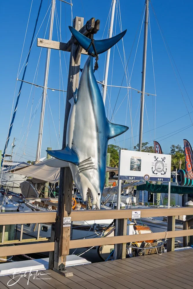 20250414-Historic St Andrews -44.jpg