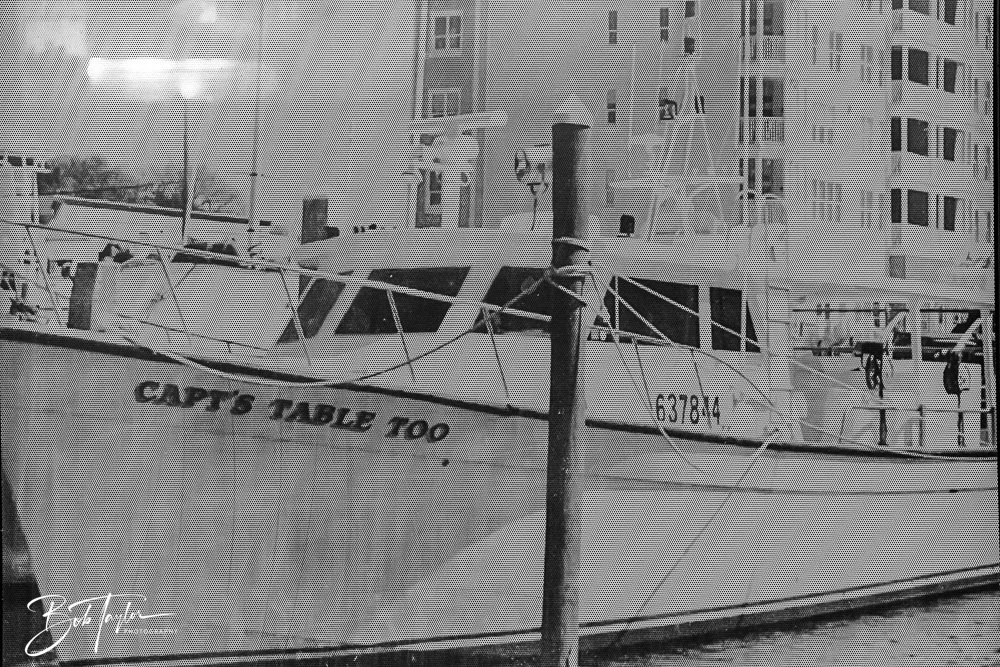 20250414-Historic St Andrews -8.jpg