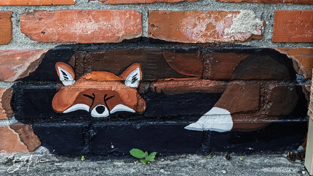 20250424-Historic St Andrews -72.jpg