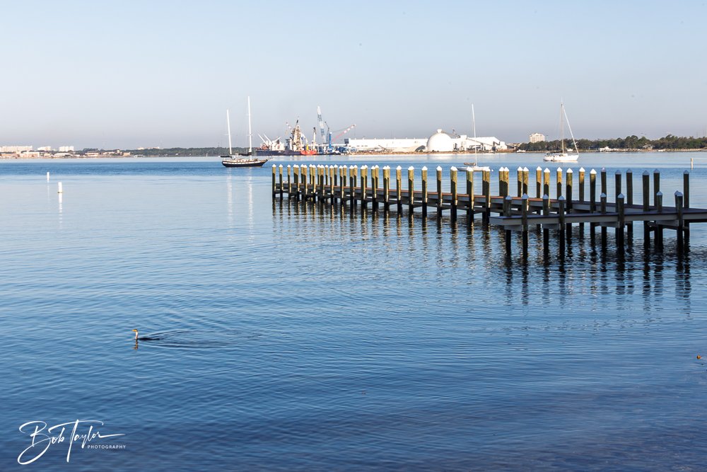 20250414-Historic St Andrews -59.jpg