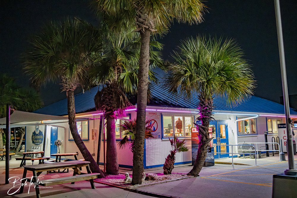 20251104-Night Scenes -10.jpg