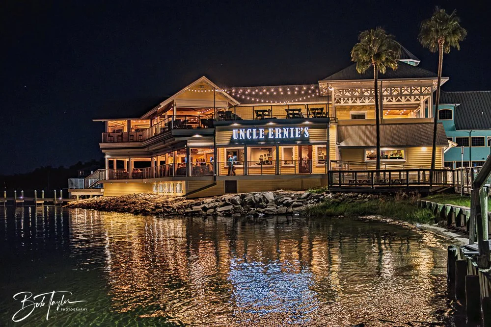 20251104-Night Scenes -17.jpg