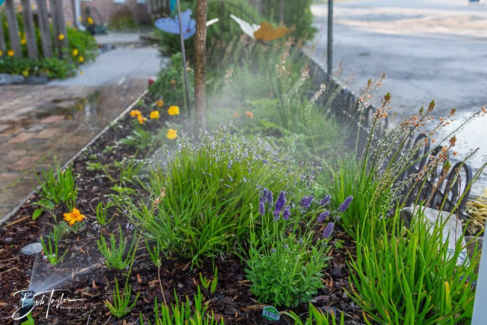 20250414-Historic St Andrews -12.jpg