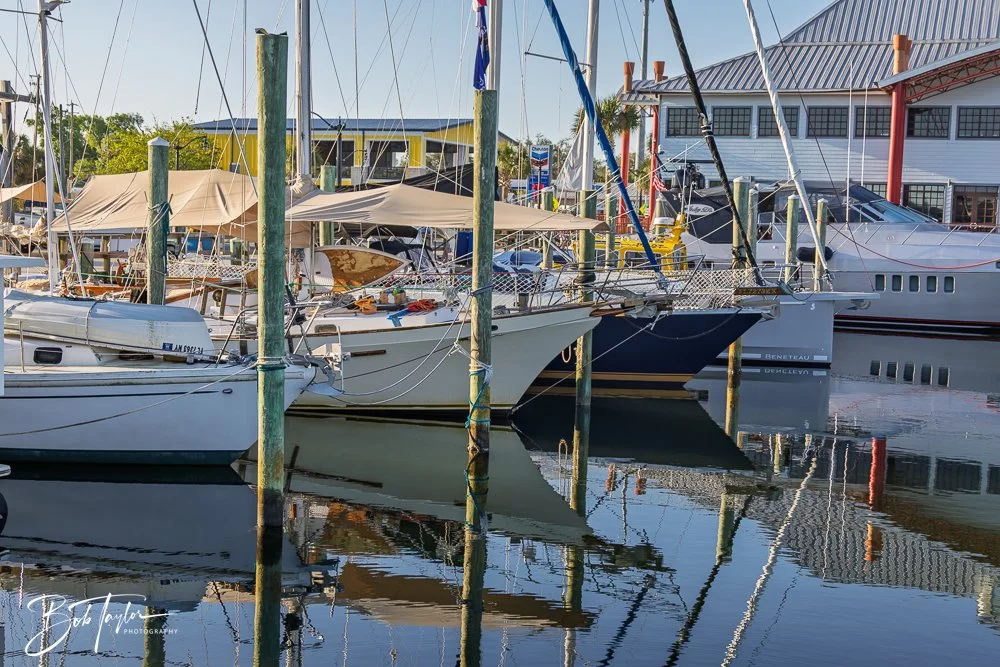 20250414-Historic St Andrews -45.jpg