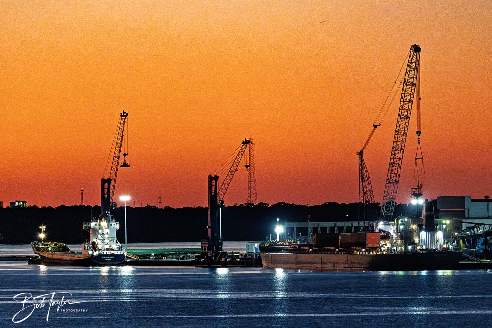 20251104-Night Scenes -6.jpg