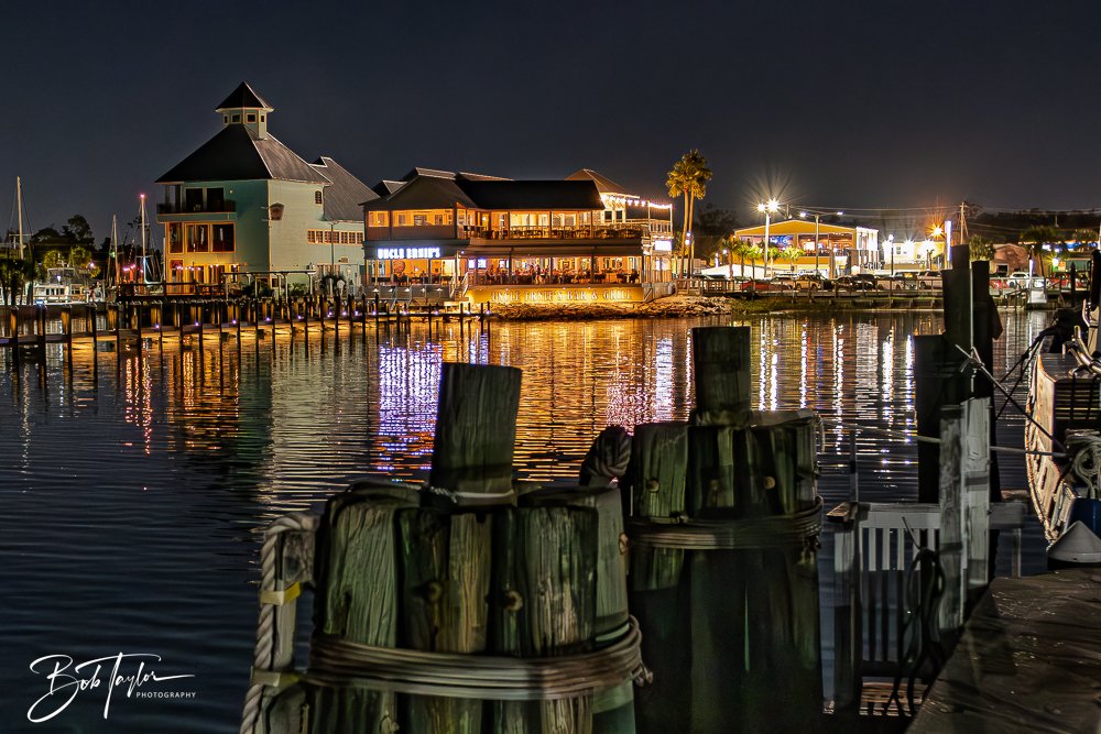 20251104-Night Scenes -11.jpg