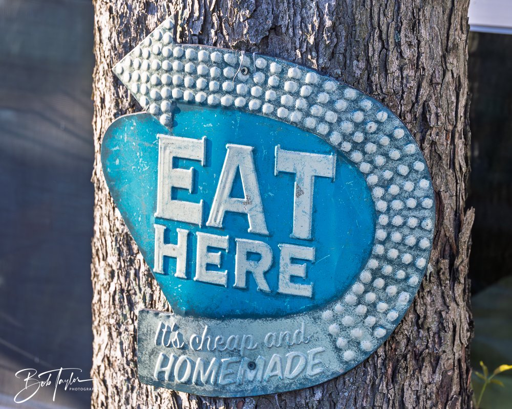 20250414-Historic St Andrews -24.jpg