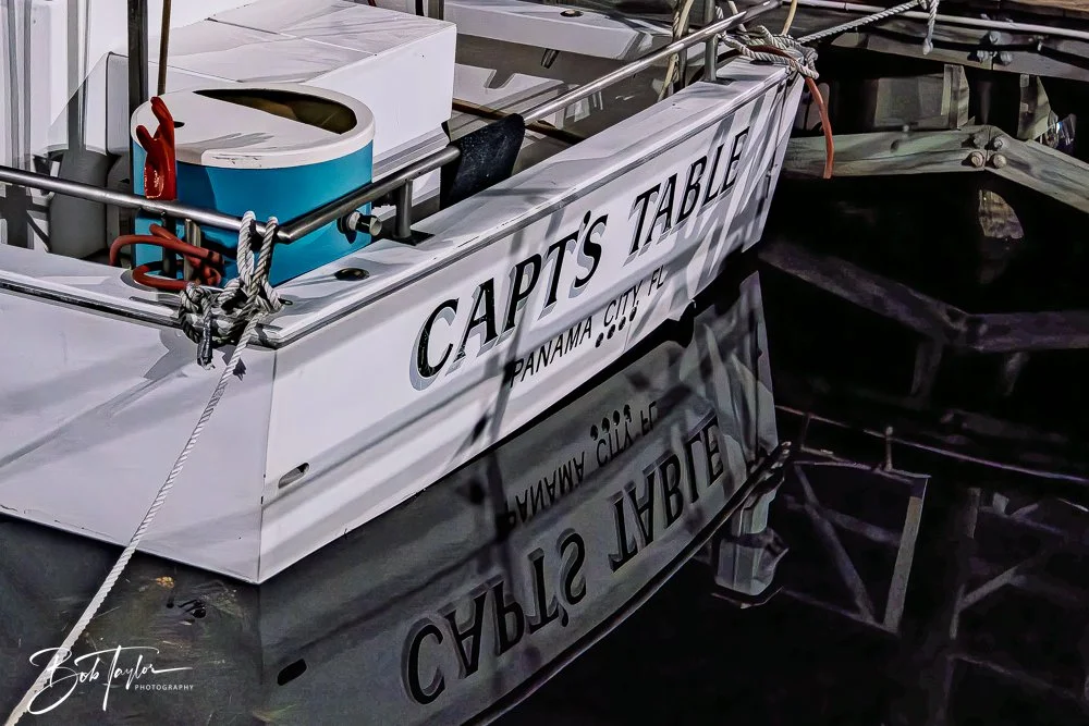 20251104-Night Scenes -13.jpg