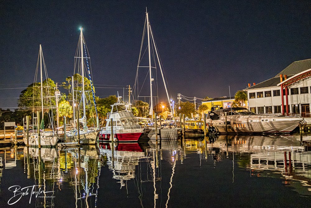 20251104-Night Scenes -24.jpg