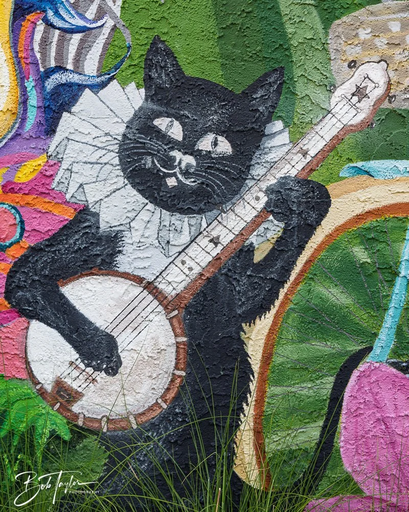 20250424-Historic St Andrews -68.jpg