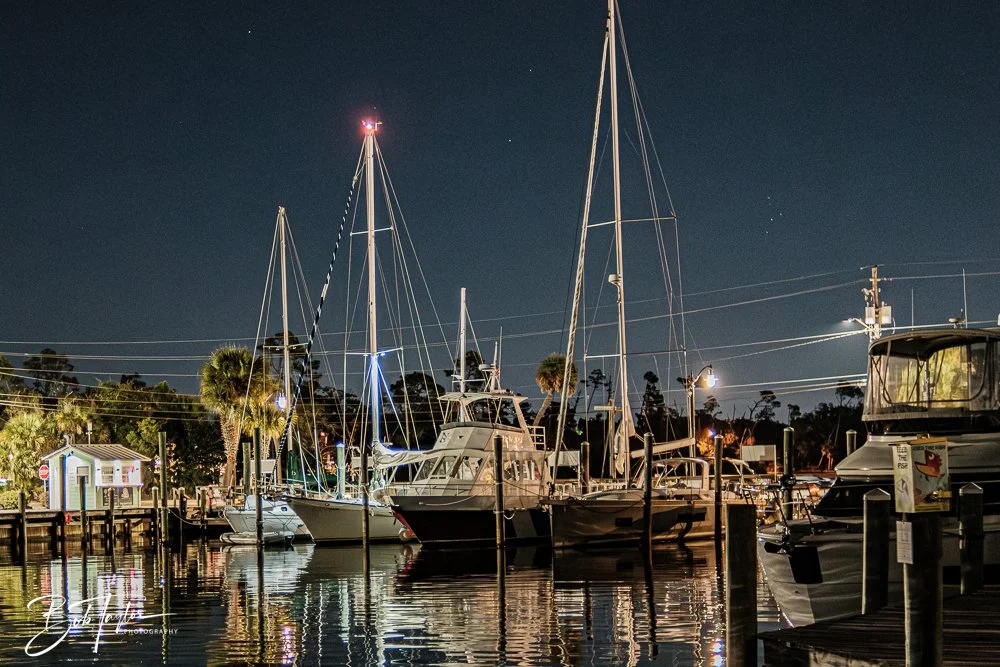 20251104-Night Scenes -22.jpg