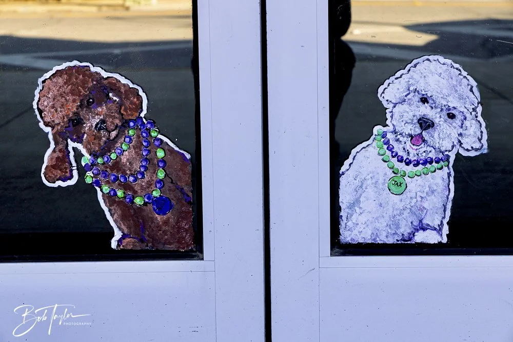 20250220-Mardi Gras Artwork -39.jpeg