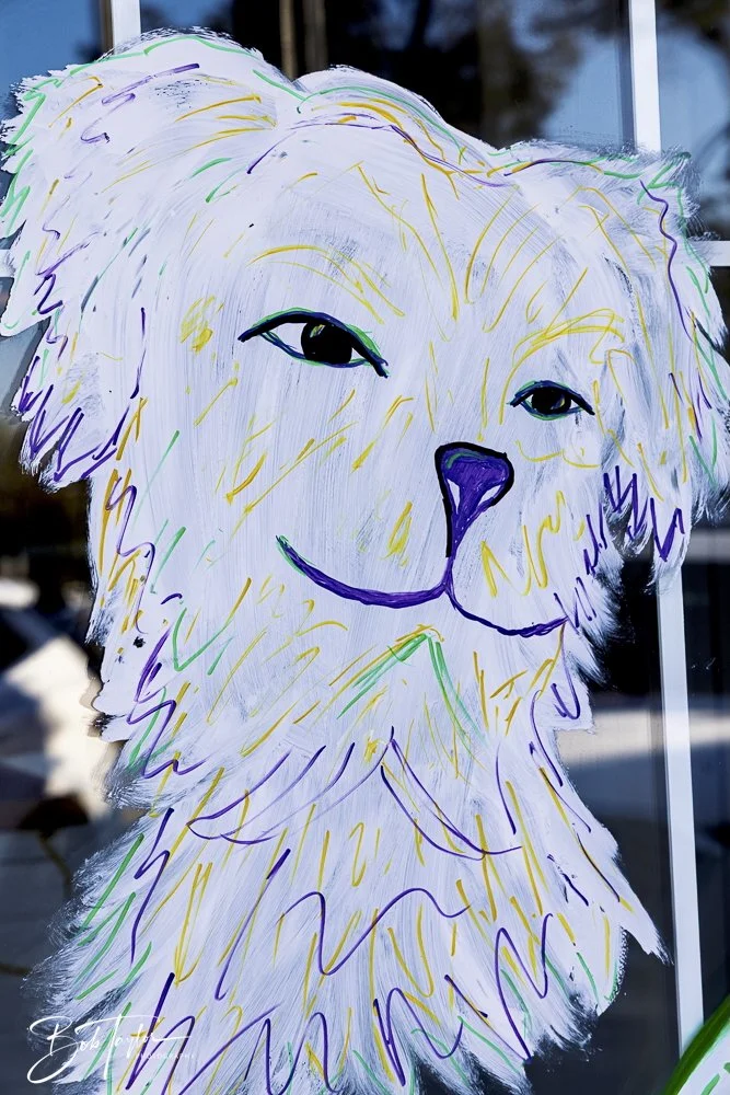 20250220-Mardi Gras Artwork -38.jpeg