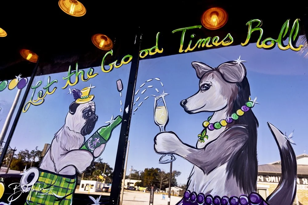 20250220-Mardi Gras Artwork -65.jpeg