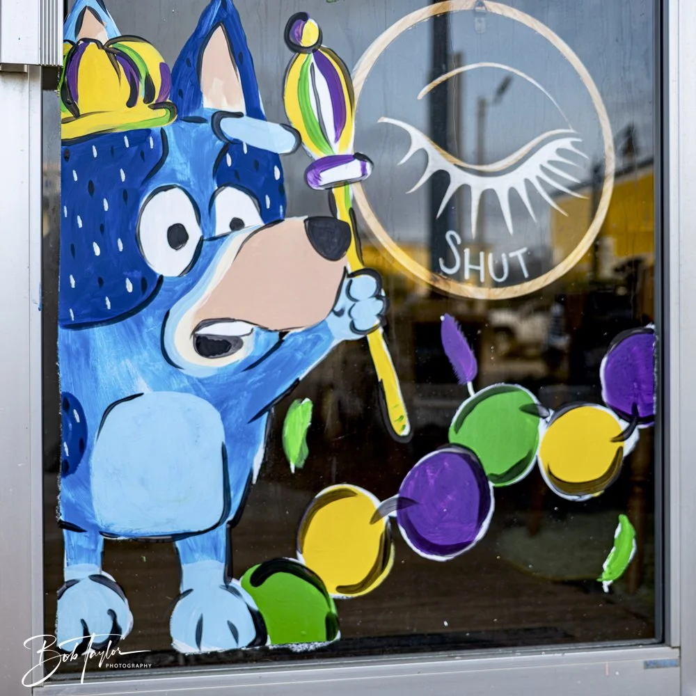 20250212-Mardi Gras Artwork -31.jpeg