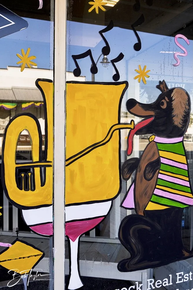 20250220-Mardi Gras Artwork -54.jpeg