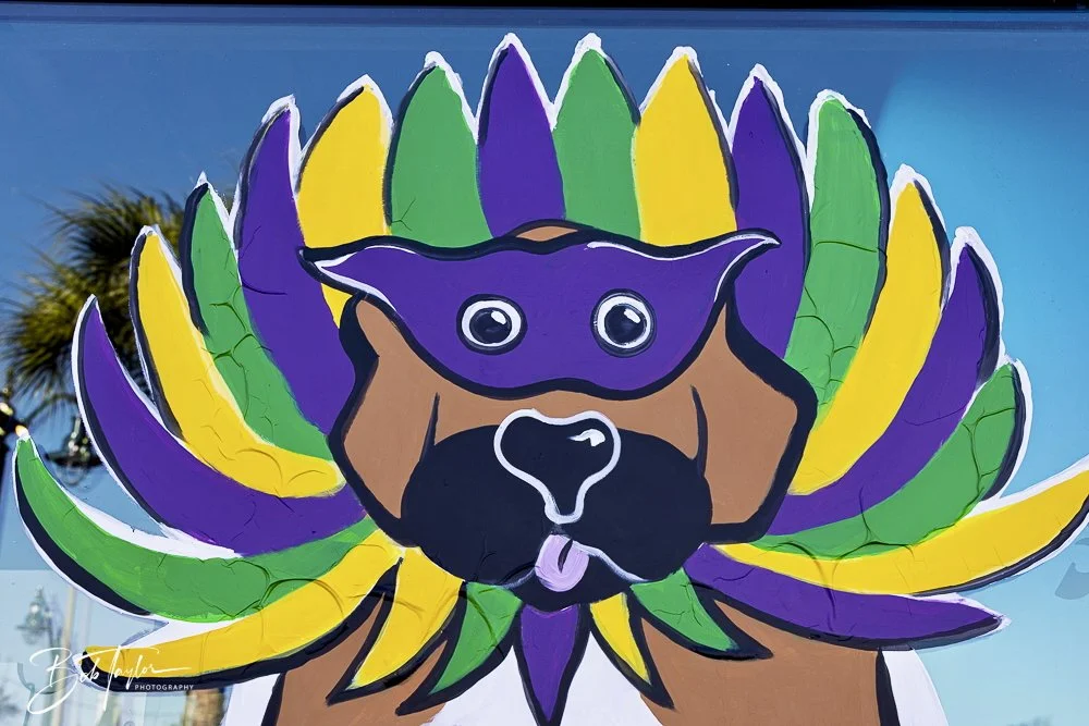 20250220-Mardi Gras Artwork -68.jpeg