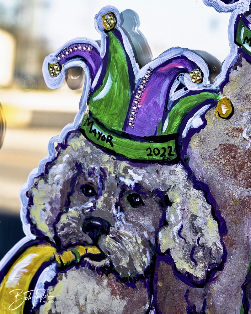 20250220-Mardi Gras Artwork -49.jpeg