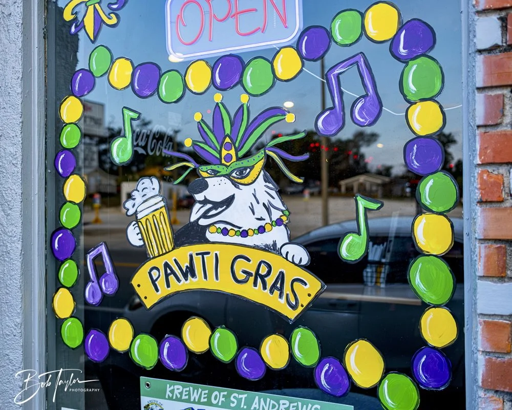 20250212-Mardi Gras Artwork -23.jpeg