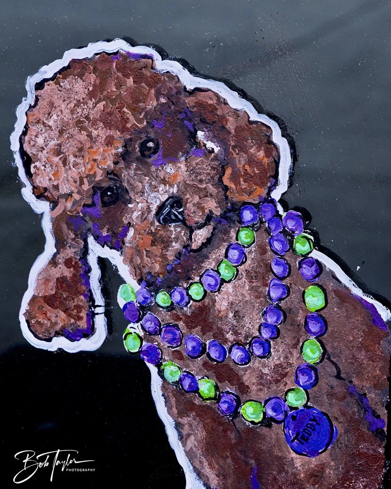 20250220-Mardi Gras Artwork -41.jpeg