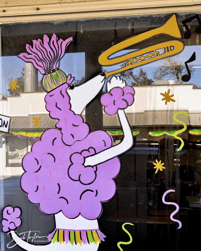 20250220-Mardi Gras Artwork -55.jpeg