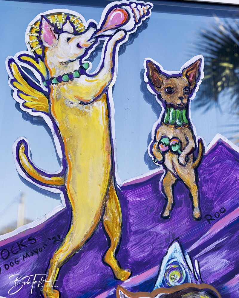 20250220-Mardi Gras Artwork -43.jpeg