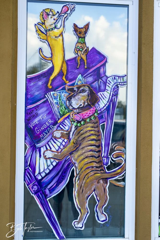 20250212-Mardi Gras Artwork -4.jpeg