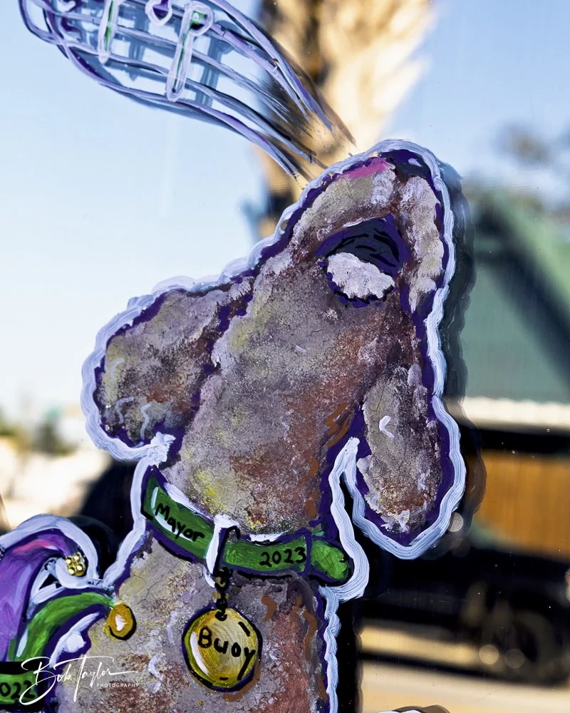 20250220-Mardi Gras Artwork -50.jpeg