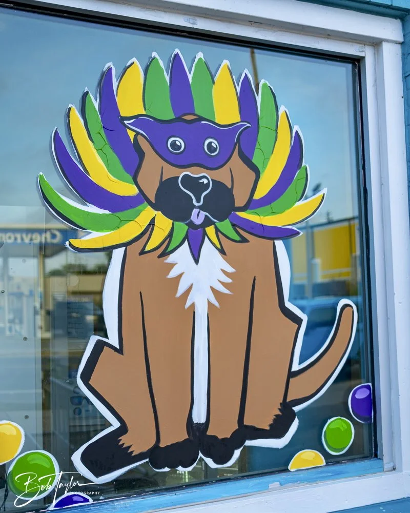 20250212-Mardi Gras Artwork -29.jpeg