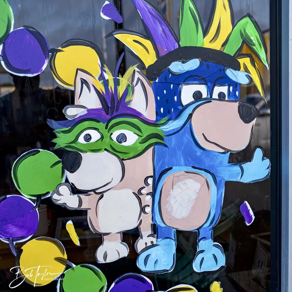 20250212-Mardi Gras Artwork -33.jpeg