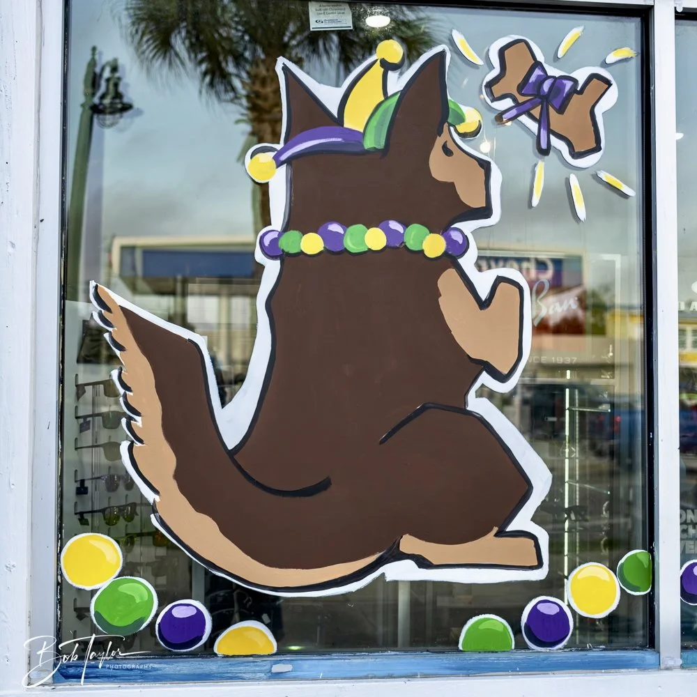 20250212-Mardi Gras Artwork -27.jpeg