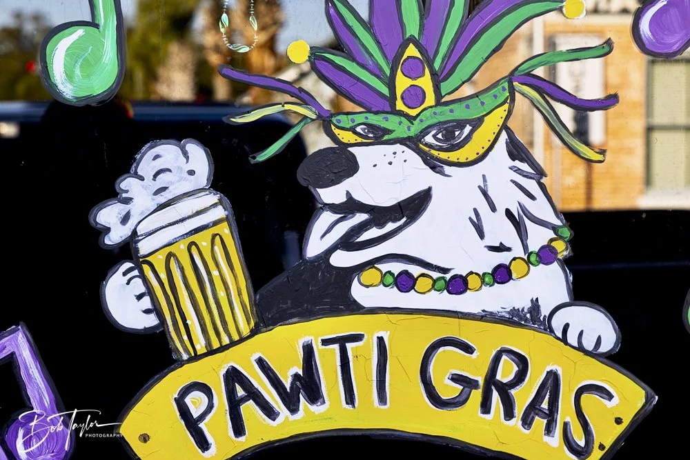 20250220-Mardi Gras Artwork -64.jpeg