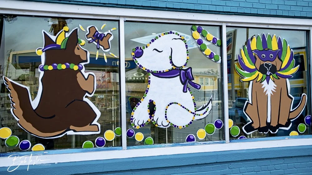 20250212-Mardi Gras Artwork -26.jpeg