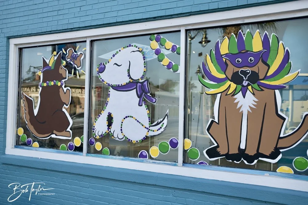 20250212-Mardi Gras Artwork -35.jpeg