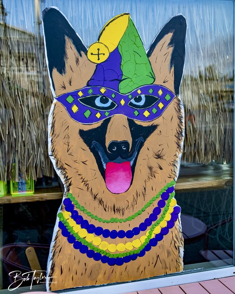 20250212-Mardi Gras Artwork -25.jpeg