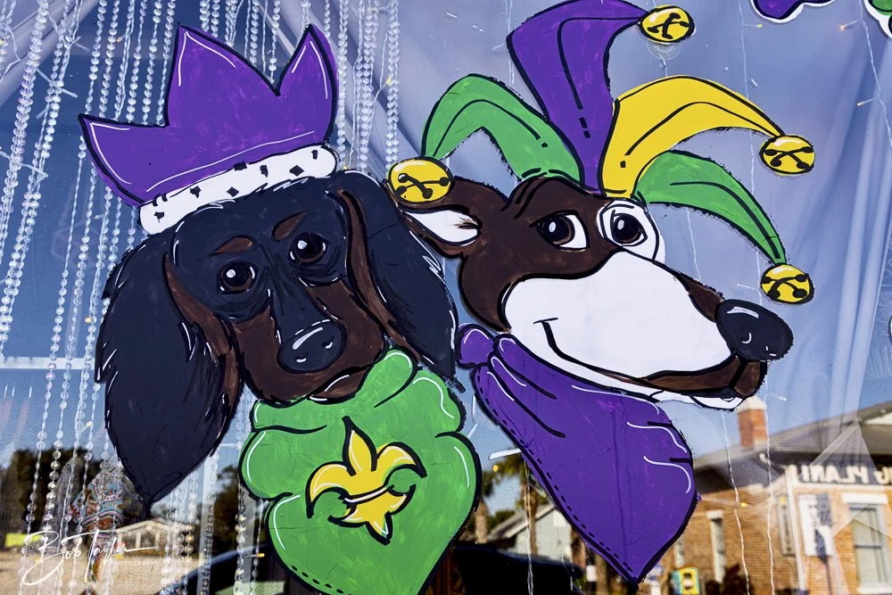 20250220-Mardi Gras Artwork -62.jpeg