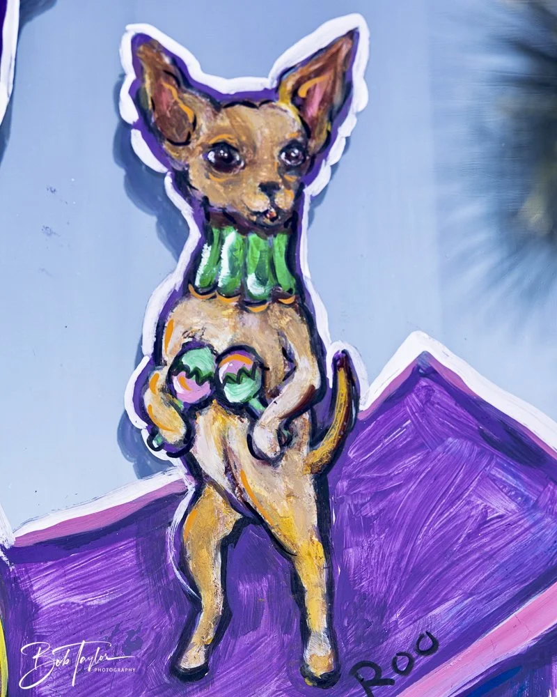 20250220-Mardi Gras Artwork -44.jpeg