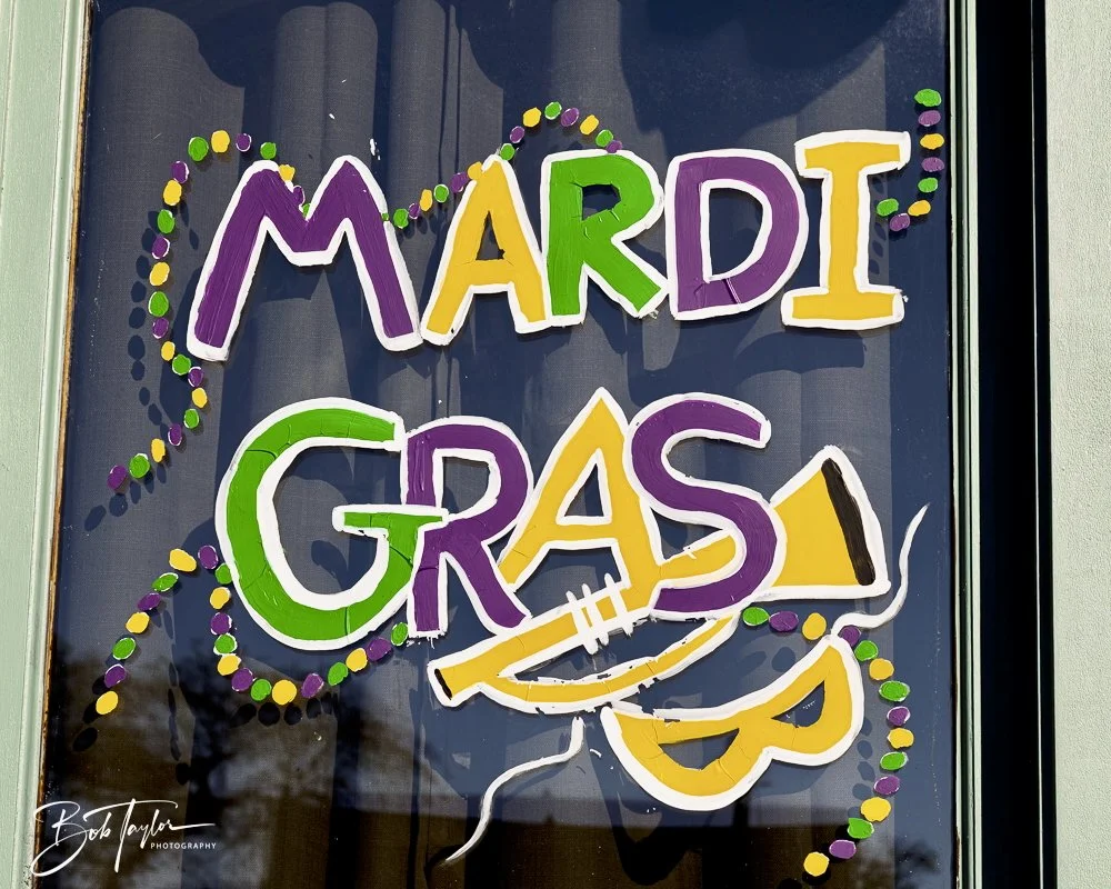 20250220-Mardi Gras Artwork -52.jpeg